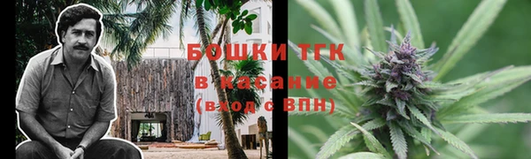 прущие крисы Нефтекумск