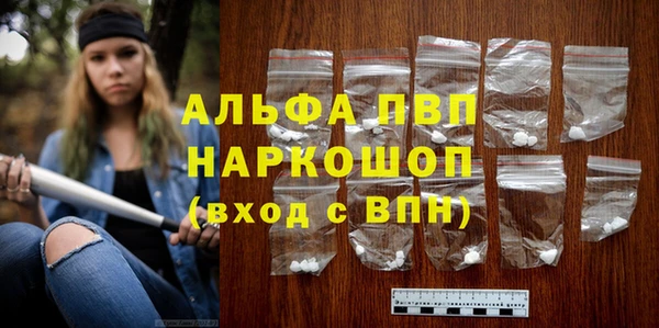 стаф Новодвинск