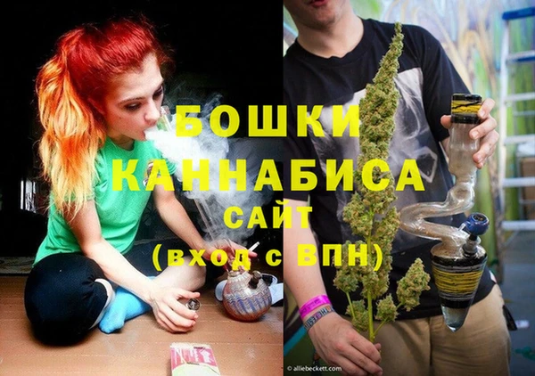 гашик Нея