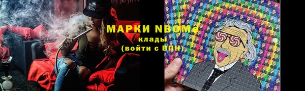 стаф Новодвинск