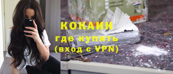 гашик Нея