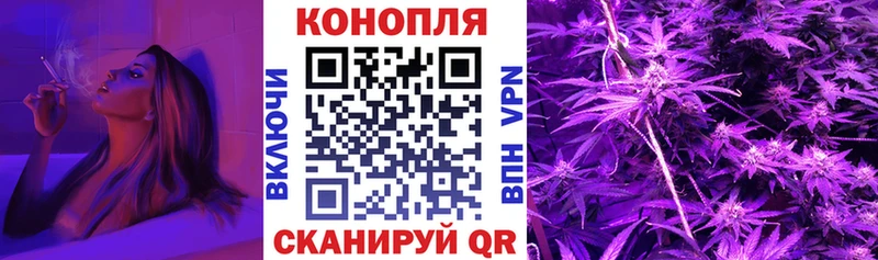 Конопля сатива Мензелинск